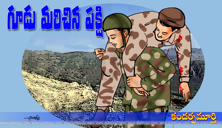 Goodu marichina pakshi Goodu marichina pakshi